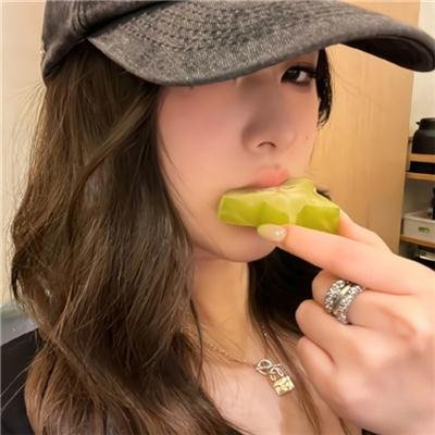 菊石